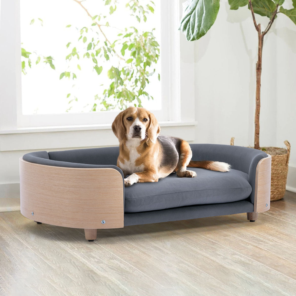 Bulldog Large Size Dog Beds