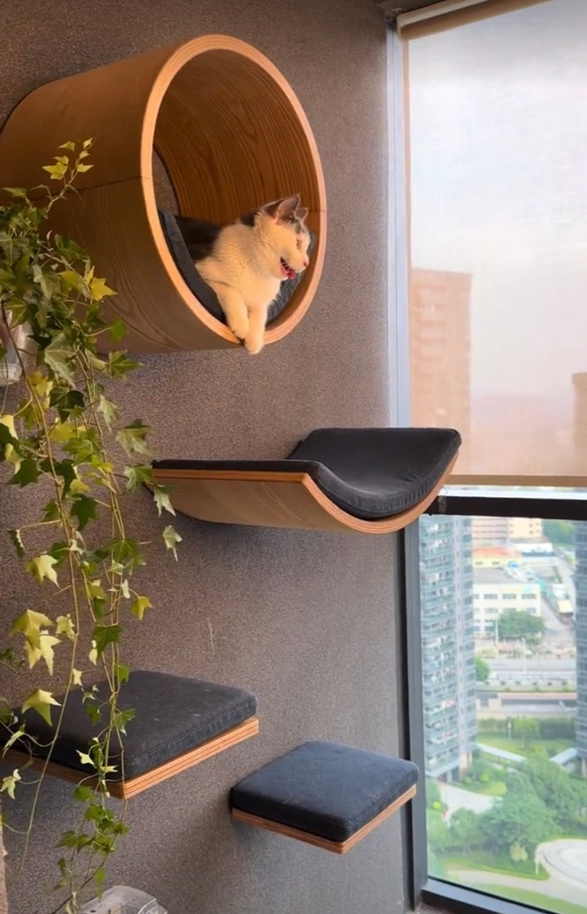 Duke Cat House