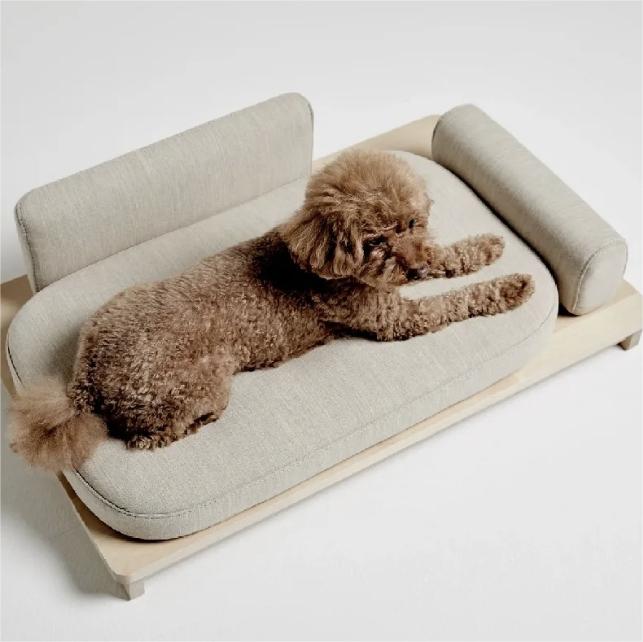 Molly Dog Sofa Beds