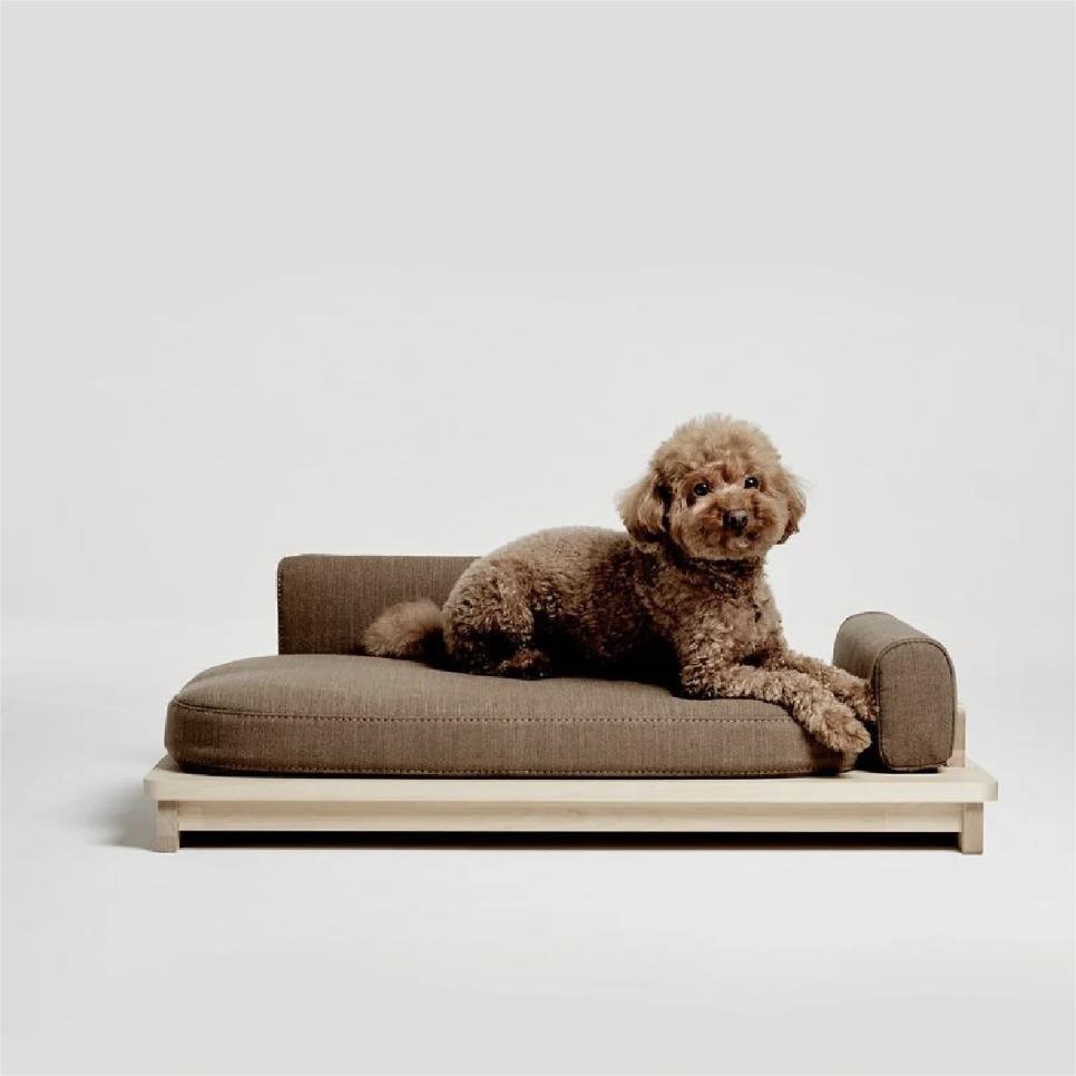 Molly Dog Sofa Beds