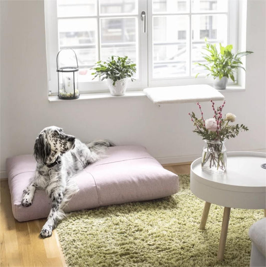 Lucy Dog Sofa Beds